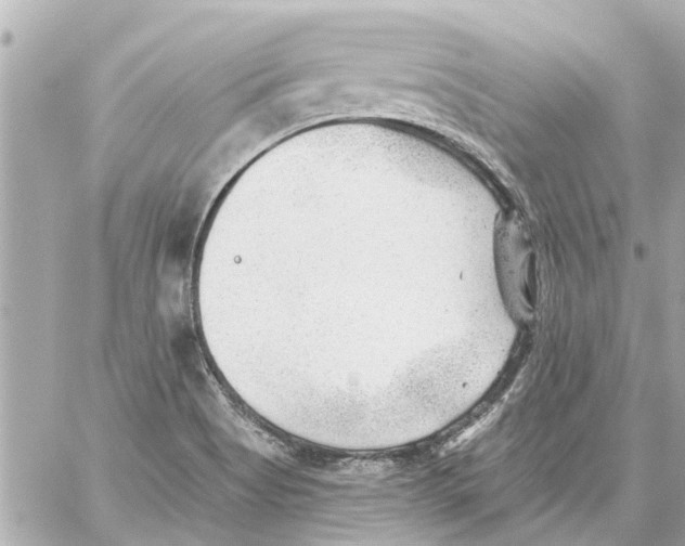 X0000059081513200511041808