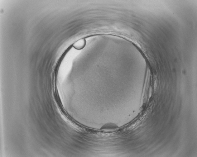 X0000059081515200511041808