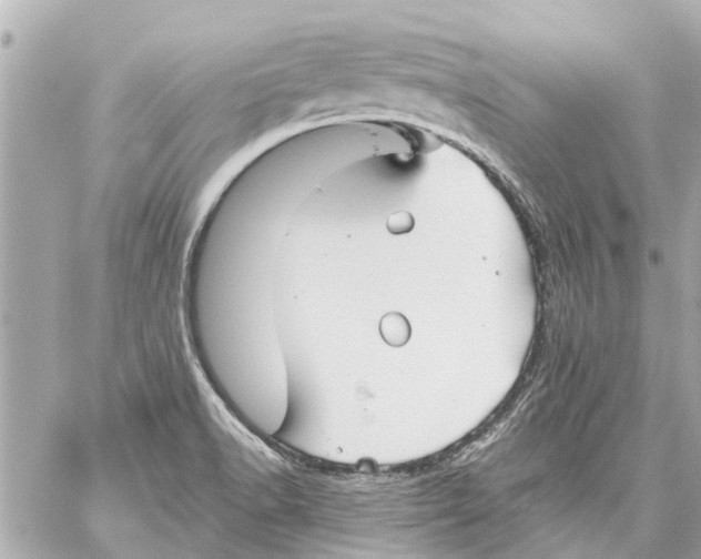 X0000059081518200511041808