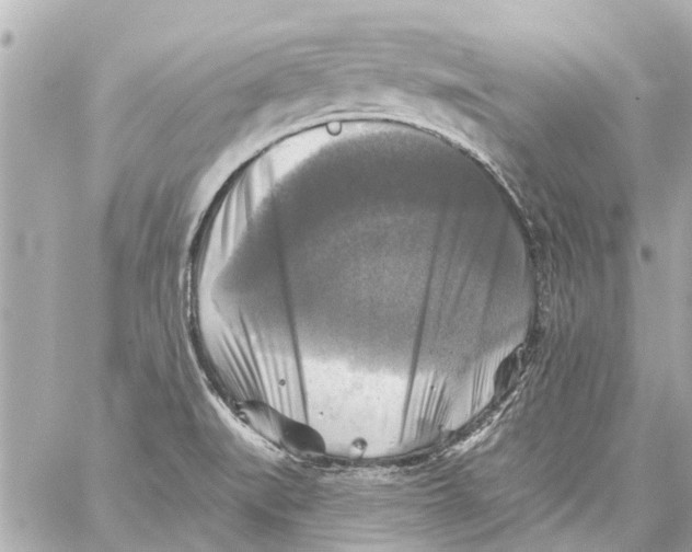 X0000059081519200511041808