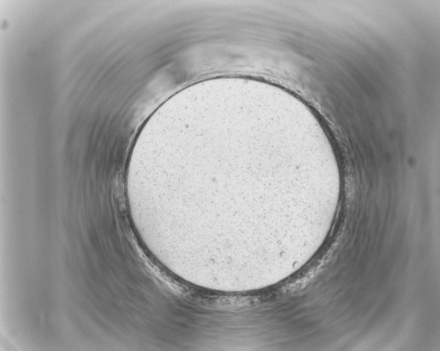 X0000059081521200511041808