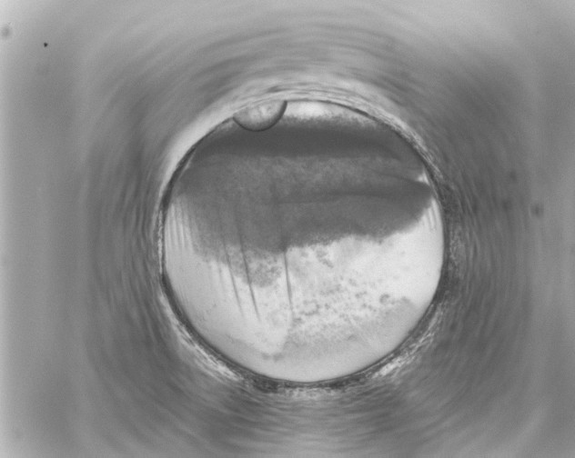 X0000059081522200511041808