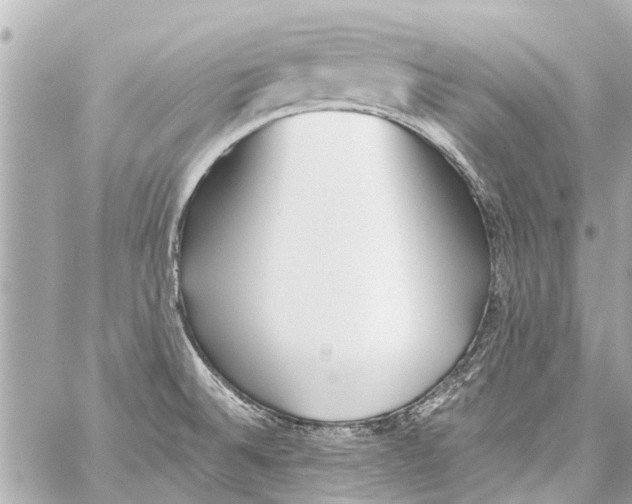 X0000059081524200511041808