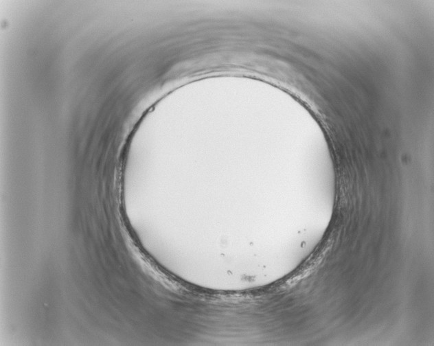 X0000059081526200511041808