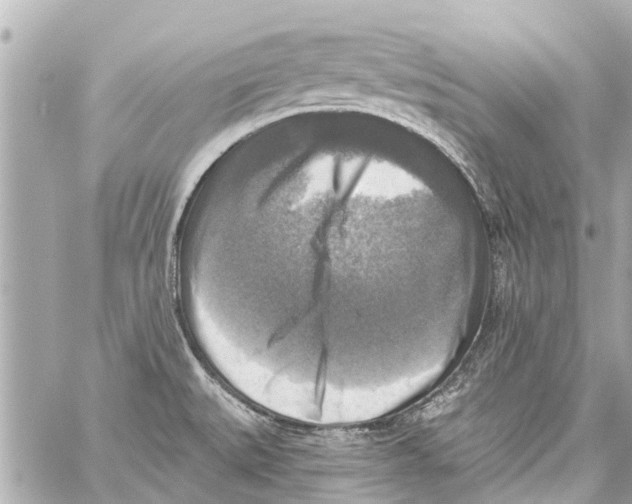 X0000059081527200511041808