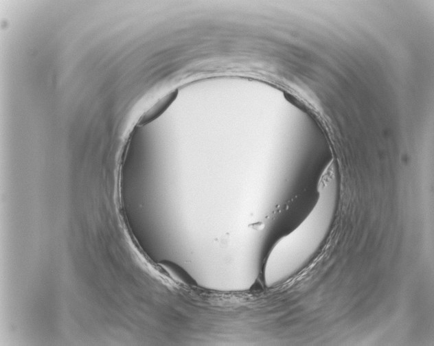 X0000059081528200511041808