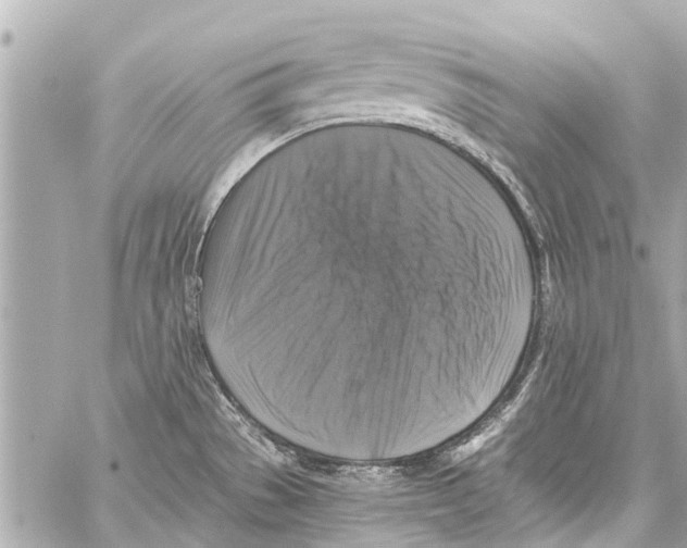 X0000059081529200511041808