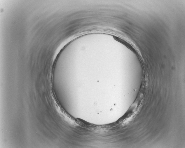 X0000059081530200511041808