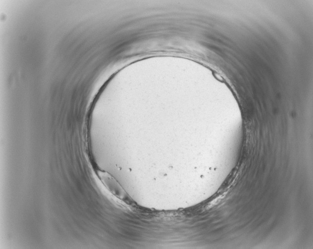 X0000059081531200511041808