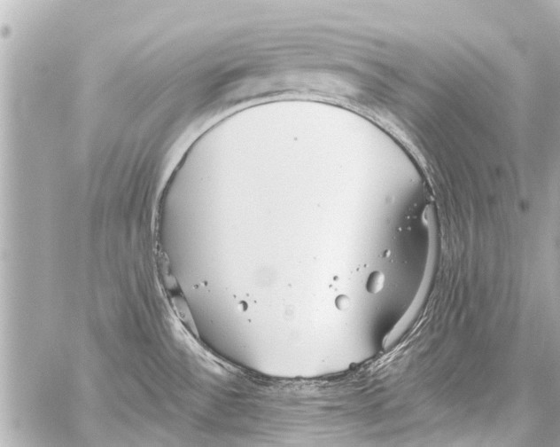 X0000059081532200511041808