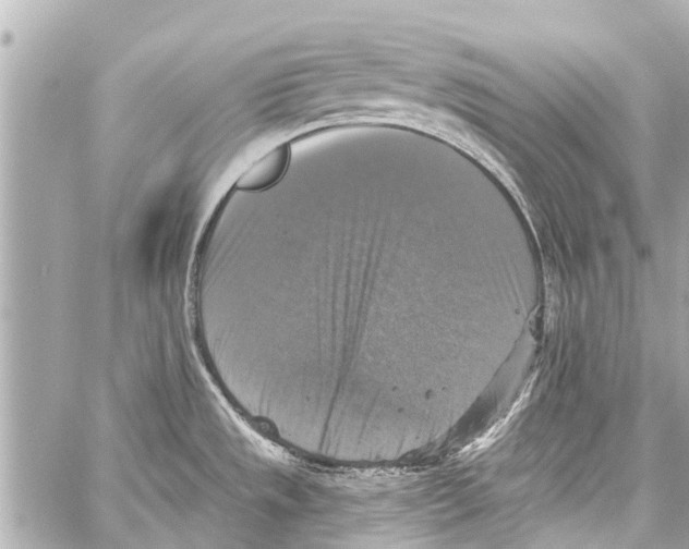 X0000059081533200511041808