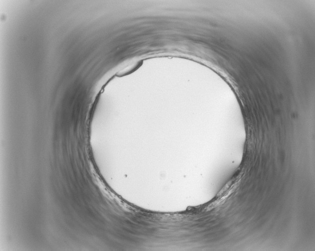 X0000059081534200511041808