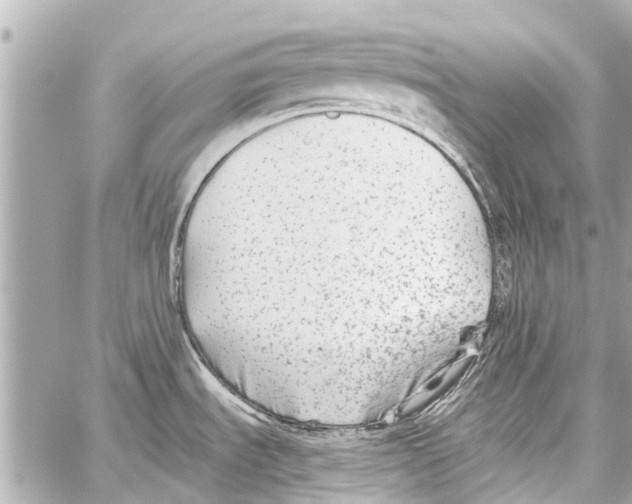 X0000059081535200511041808