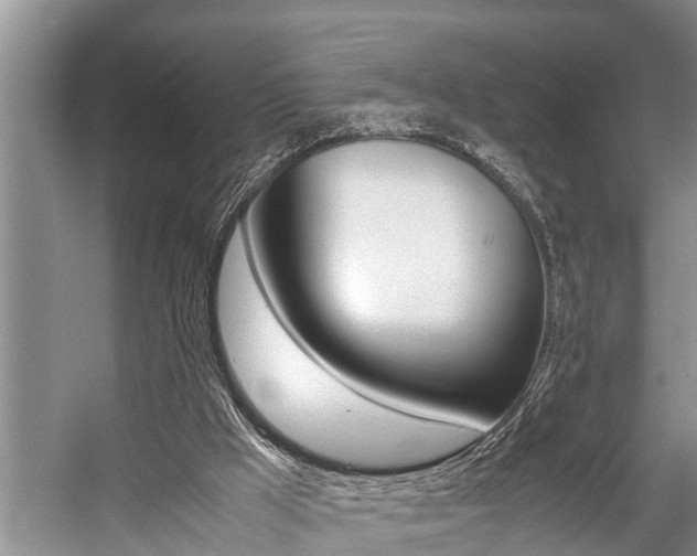 X0000059090009200510071008