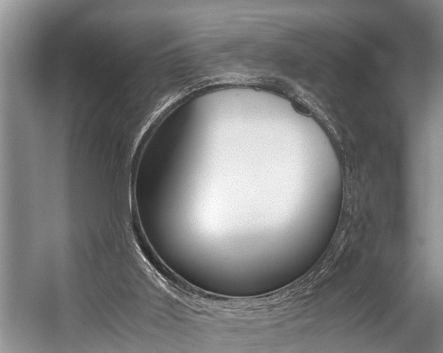 X0000059090011200510071008