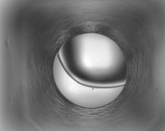 X0000059090035200510071007
