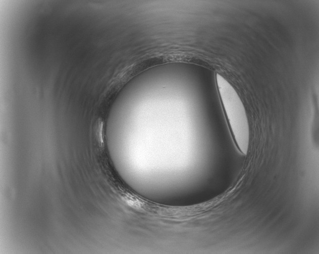 X0000059090041200510071007