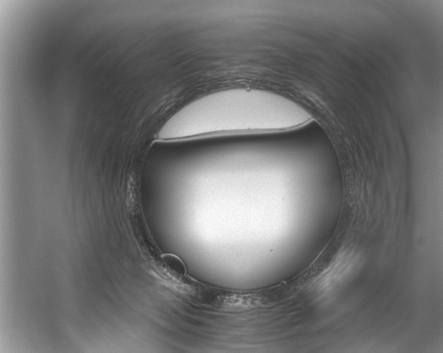 X0000059090077200510071007
