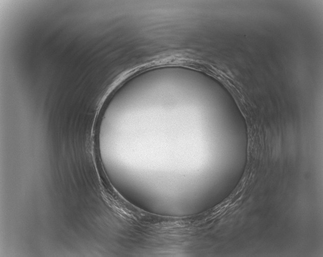 X0000059090100200510071006