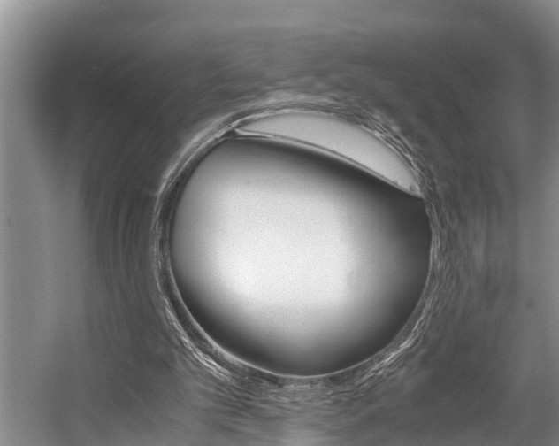 X0000059090101200510071006