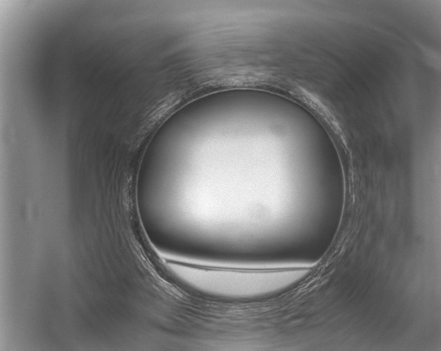 X0000059090105200510071006