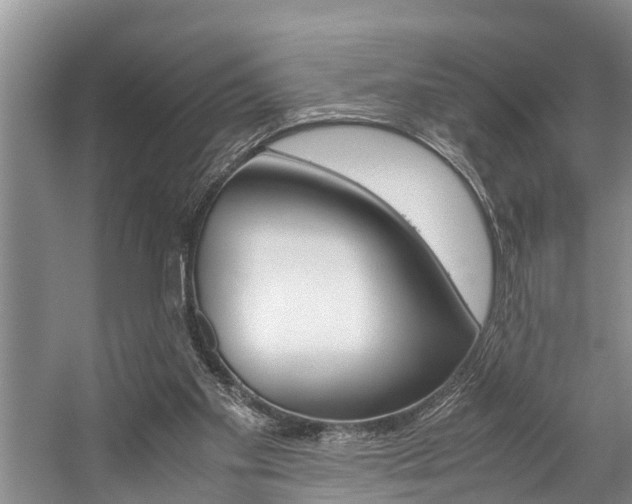 X0000059090109200510071006