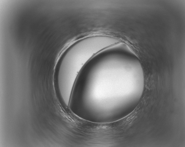 X0000059090152200510071005