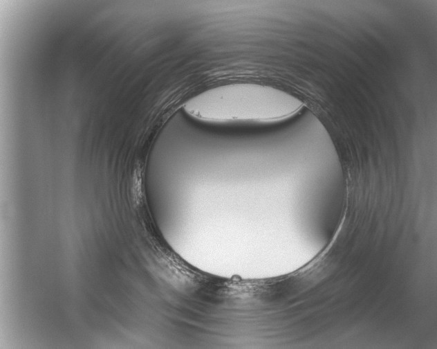 X0000059090190200510071005