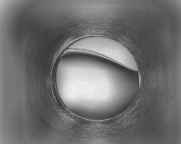 X0000059090195200510071005