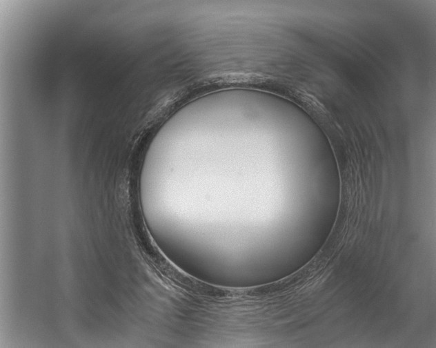 X0000059090207200510071004