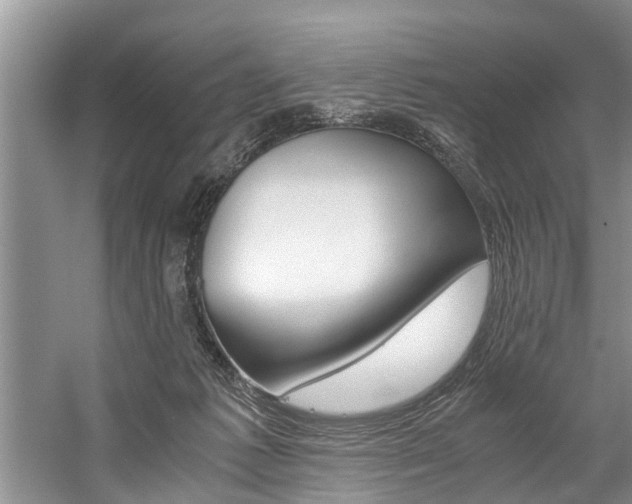 X0000059090221200510071004