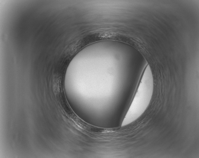 X0000059090227200510071004