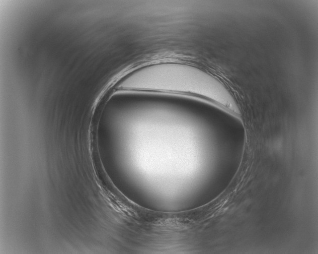 X0000059090244200510071003