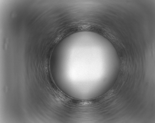 X0000059090274200510071004