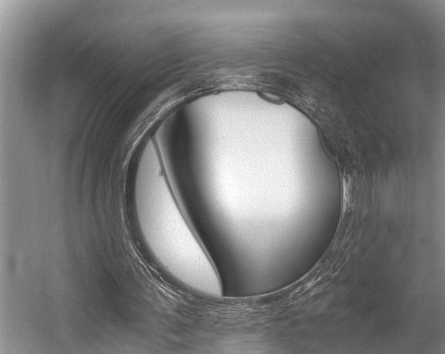 X0000059090291200510071003