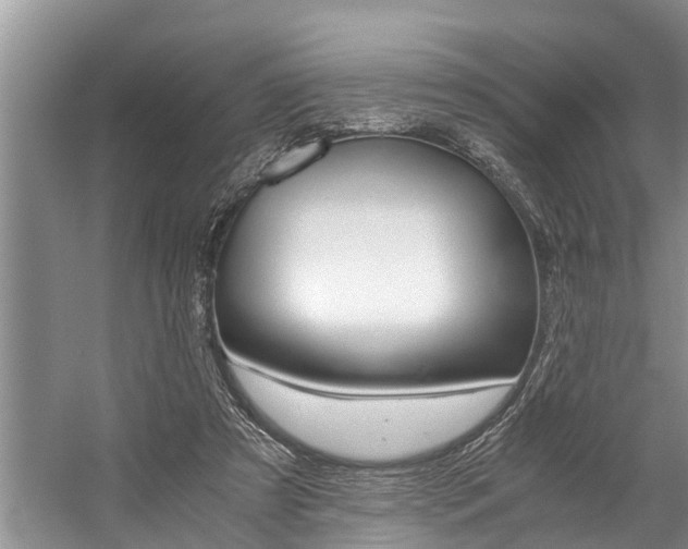 X0000059090305200510071003