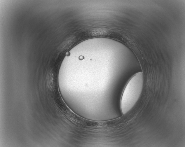 X0000059090308200510071003