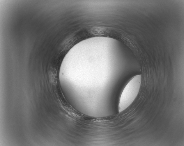 X0000059090332200510071002