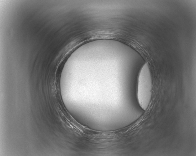 X0000059090338200510071001