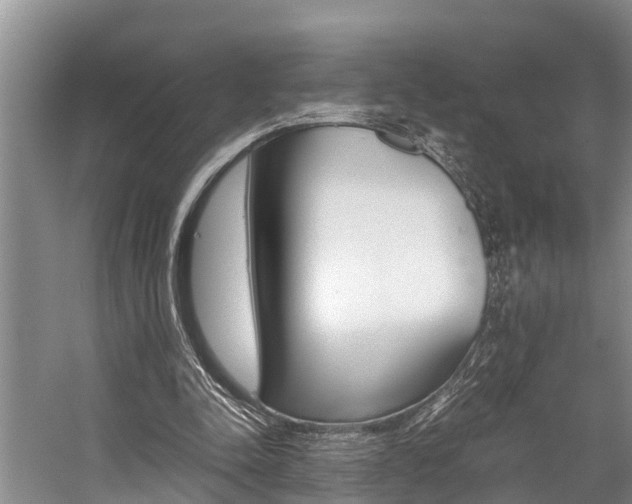 X0000059090342200510071001