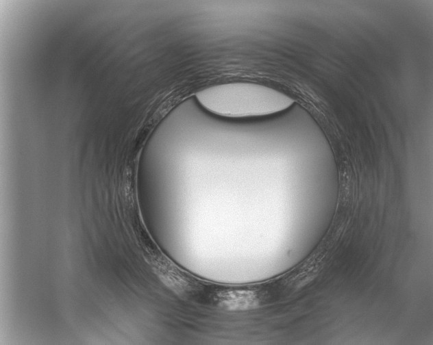 X0000059090361200510071002