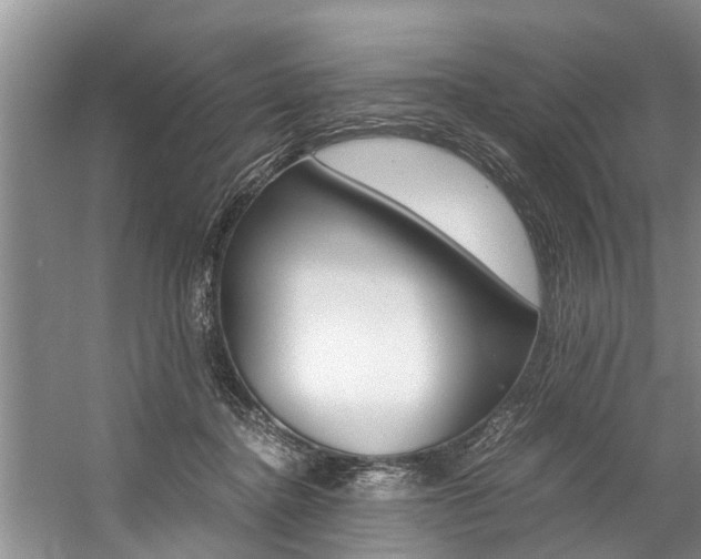 X0000059090364200510071002