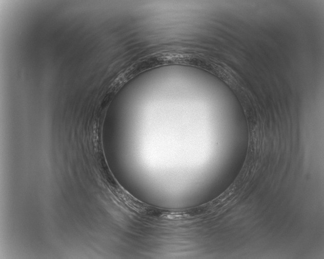 X0000059090372200510071002
