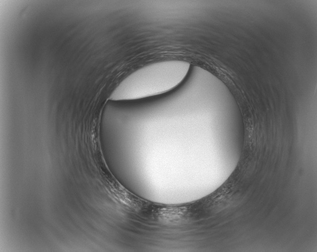 X0000059090373200510071002
