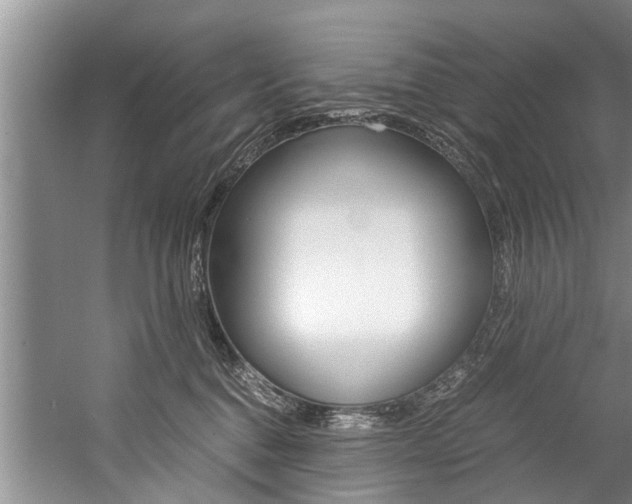 X0000059090376200510071002