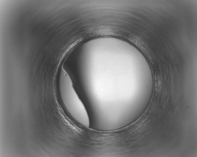 X0000059090390200510071001