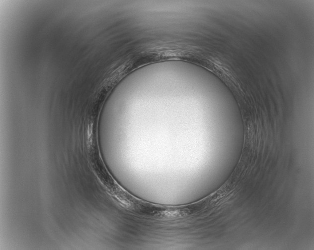 X0000059090406200510071001