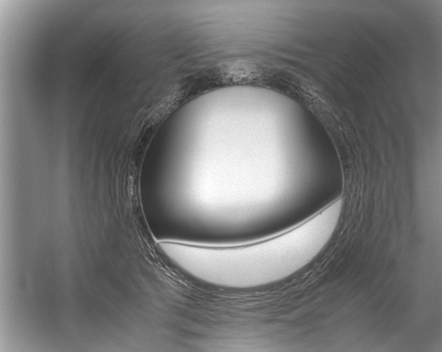 X0000059090417200510071001