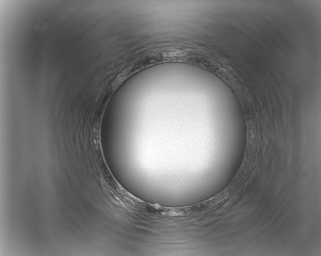 X0000059090419200510071001