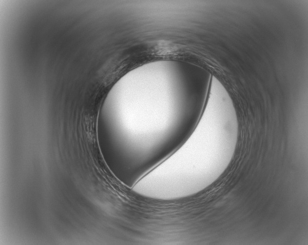 X0000059090421200510071001